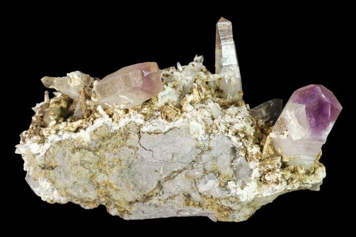 Amethyst Crystal Cluster - Las Vigas, Mexico #136985